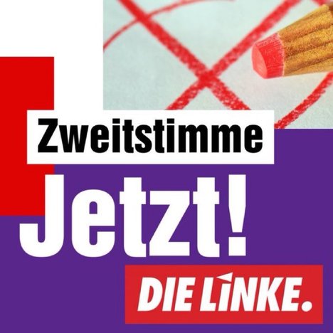 Zweitstimme_LINKE_sp.JPG